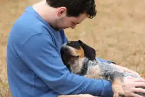empathy in dogs